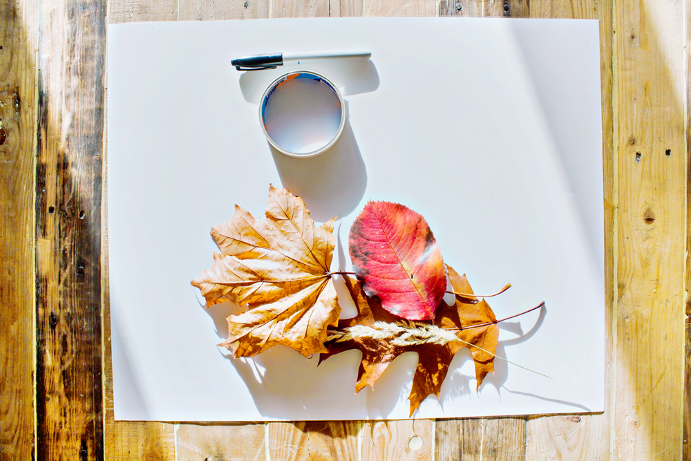 DIY | Autumn Art