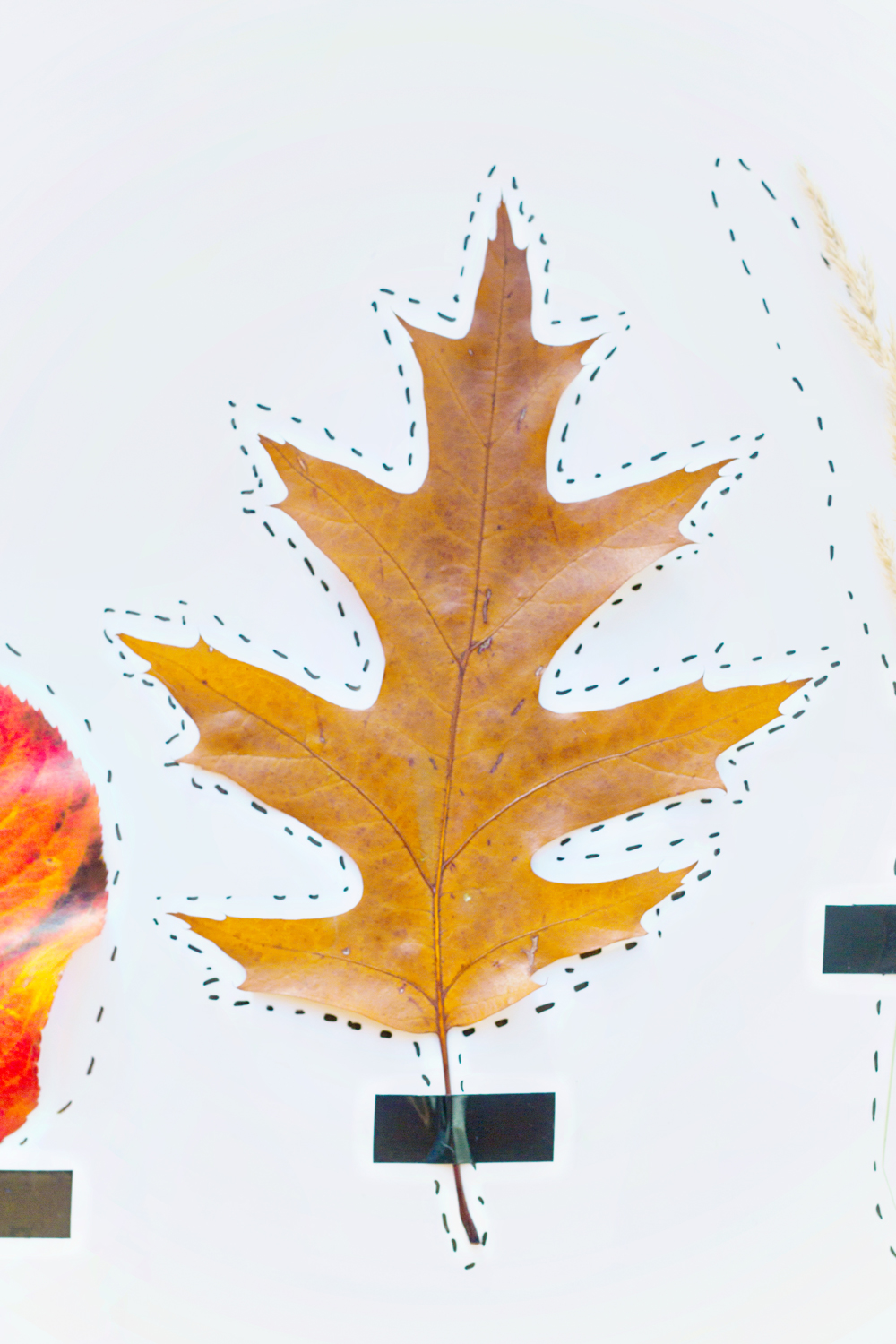 DIY | Autumn Art