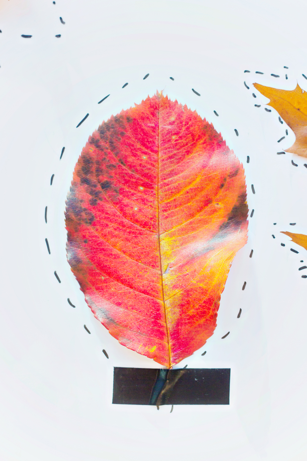 DIY | Autumn Art