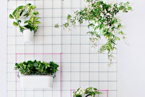 featured-_-wall-planter