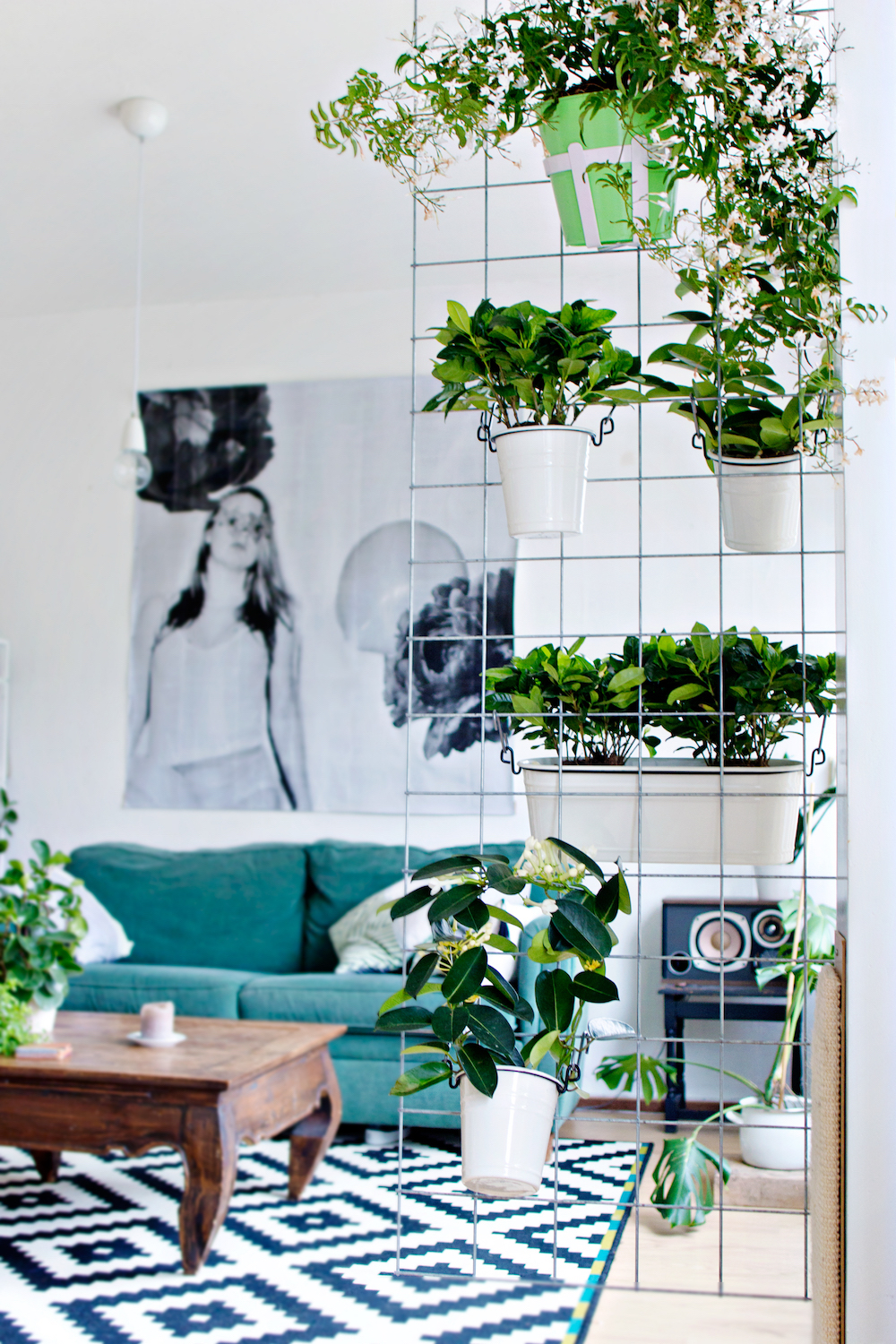 how to make an indoor wall garden