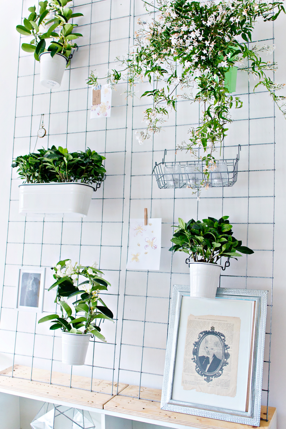 GREEN DIY | Wall Planter 