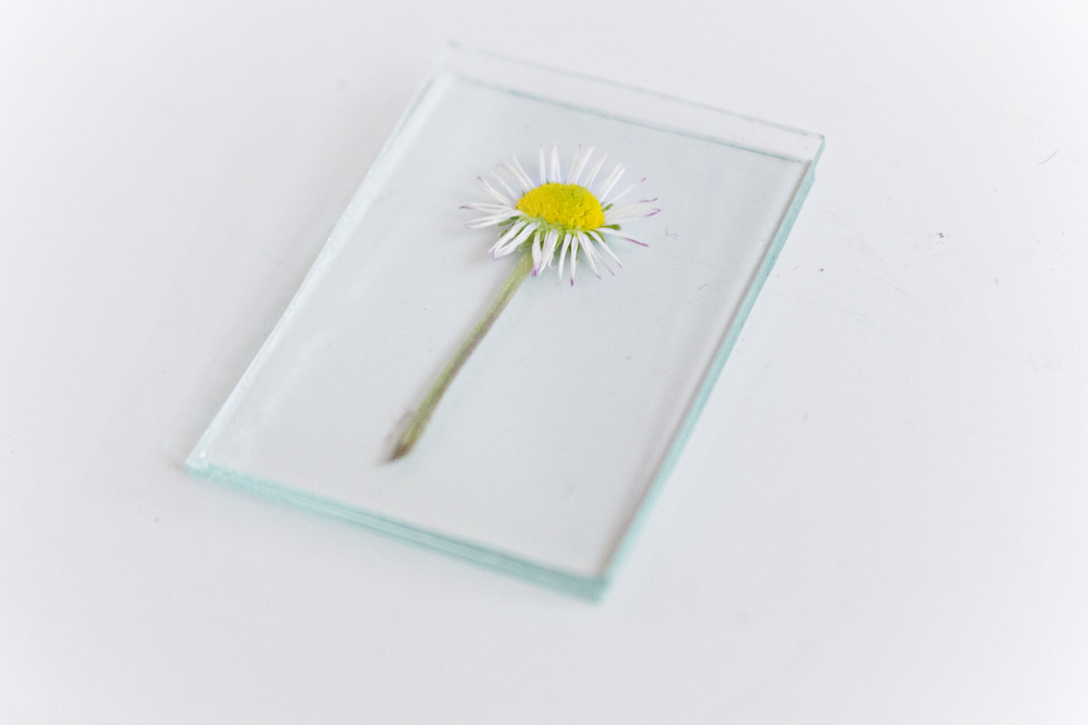 ADVANCED DIY | Soldered Flower Necklace