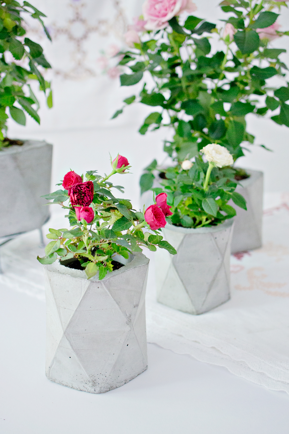 DIY Geometric Concrete Planter diy-geometric-concrete-planter