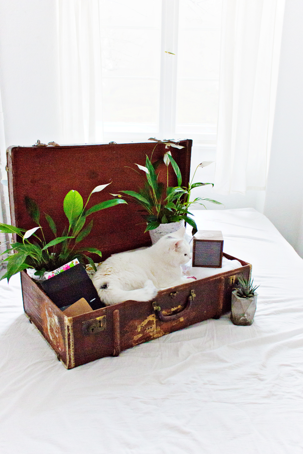 LIVING ABROAD | How to Make Your Temporary Home Feel Like Home 