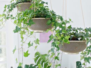 HANGING PLANTER DIY | From Sifter to Planter