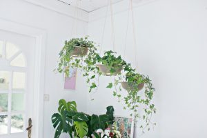 HANGING PLANTER DIY | From Sifter to Planter